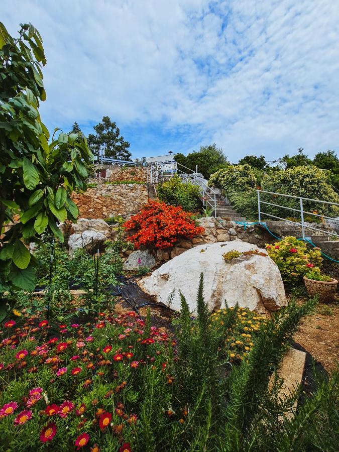 Guest House Davorka 네움 외부 사진